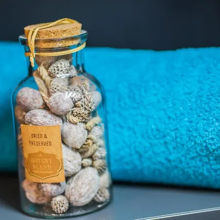 Myflat B-lake Silver * シオーフォク