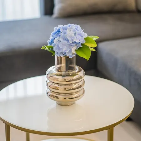 Myflat B-lake Silver *